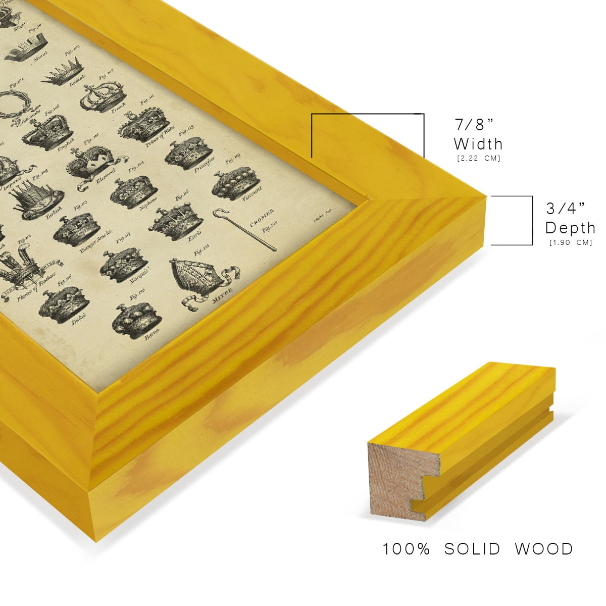 Deckled Encyclopediae IV (AS) -Framed Print w/glass-Sunflower Yellow
