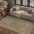thumbnail image 3 of BERTHMEER 3'×5' Area Rugs for Bedroom Entryway Light Brown Machine Washable Non Slip Vintage Office Dining Room Bathroom Game Room Oriental Traditional Distressed Carpets, 3 of 6
