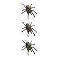 thumbnail image 4 of Kenally 1 uds/2 uds 3D pegatina de araña divertida cabeza de coche cola personalidad pegatinas de araña decoración DIY decoración Negro 3piezas Kenally CBP062733, 4 of 6