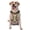 With Accessories, variant on Vsdgher Chemistry Class Pattern Dog Harness,No Pull Pet Harness with Soft Padded Handle,Adjustable Reflective Vest with 2 Buckles,4 Slide Buckles,S-XL Small
