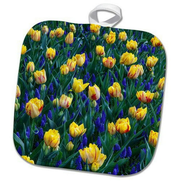 3dRose, Netherlands, Lisse, Lupine and Tulips, 8x8 Potholder