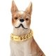 thumbnail image 4 of Nikpet Collar De Cadena De Oro Para Perro Collar De Cadena D, 4 of 7