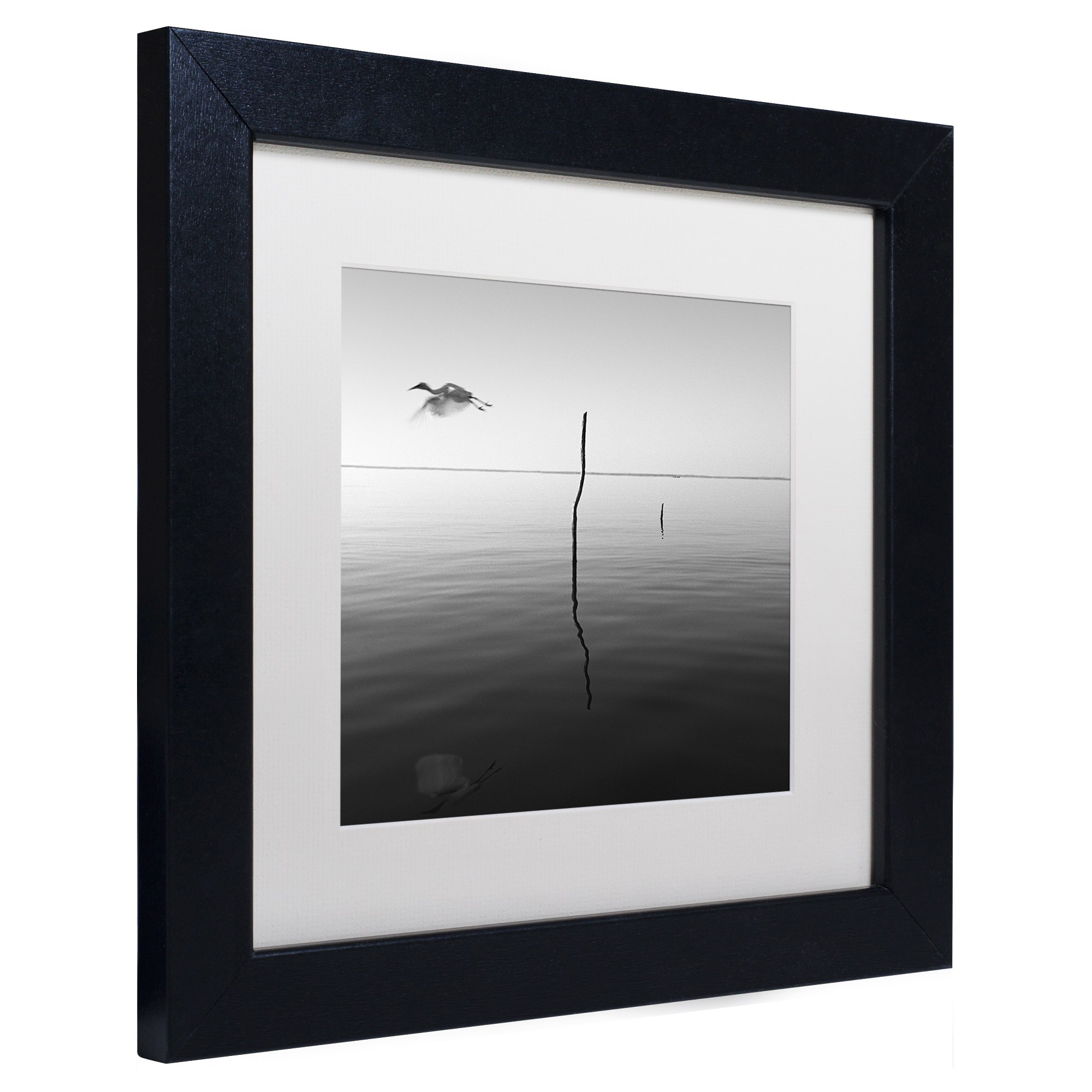 Trademark Fine Art "Fly" Canvas Art by Moises Levy White Matte, Black Frame