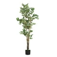 thumbnail image 3 of Christopher Knight Home 69" Artificial Ficus Tree in Black Plastic Pot, Pre-Potted Faux Greenery Tree for Home Decor, 3 of 9