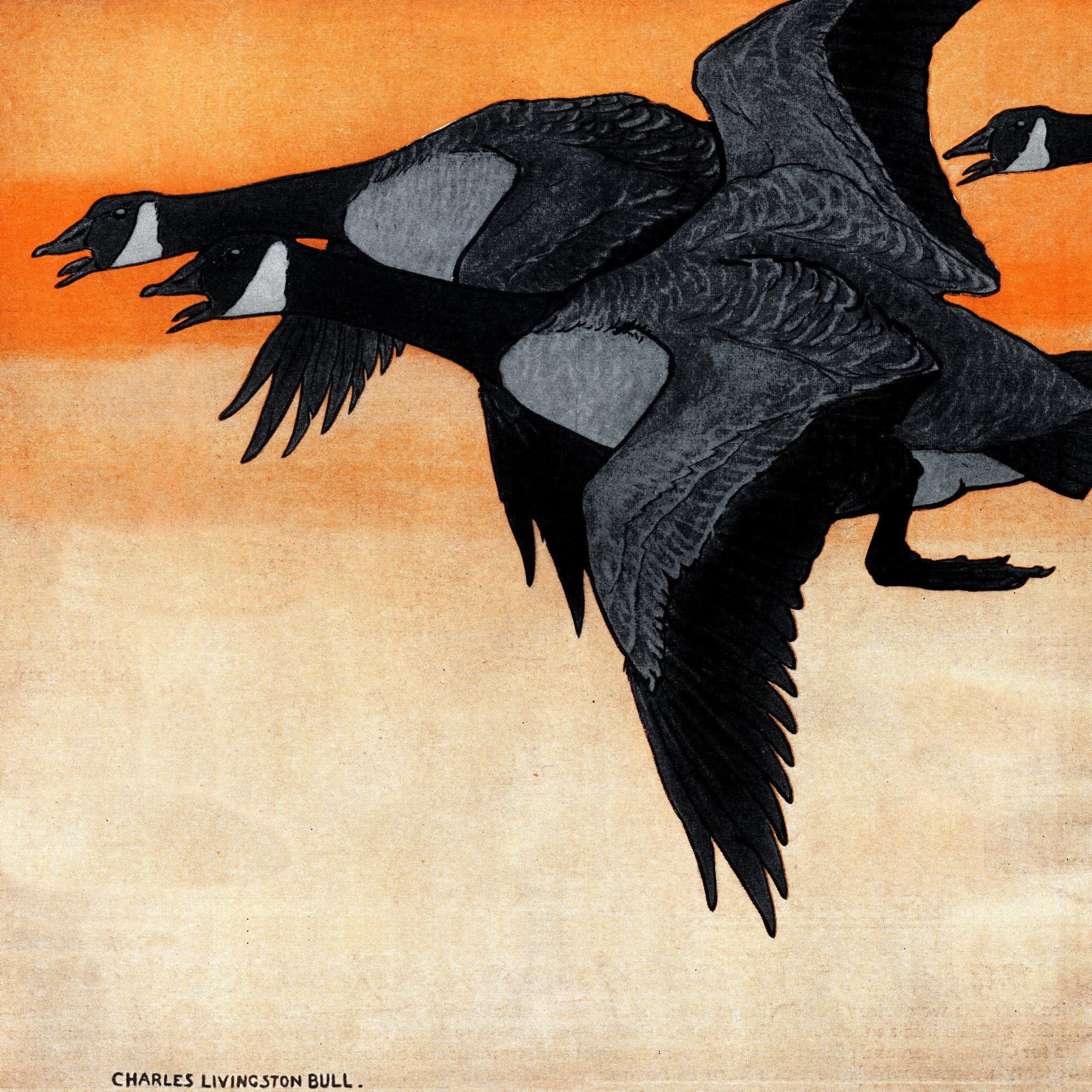 "Canadian Geese" Painting Print on Wrapped Canvas