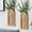 Brown, variant on Indoor Wood Wall Planter Set of for Plants - Boho Handmade Hanging Propagation Station with Curved Rainbow Design, Wall Mounted Vase for Flowers, Natural Home Decor Living Room Entryway(2)
