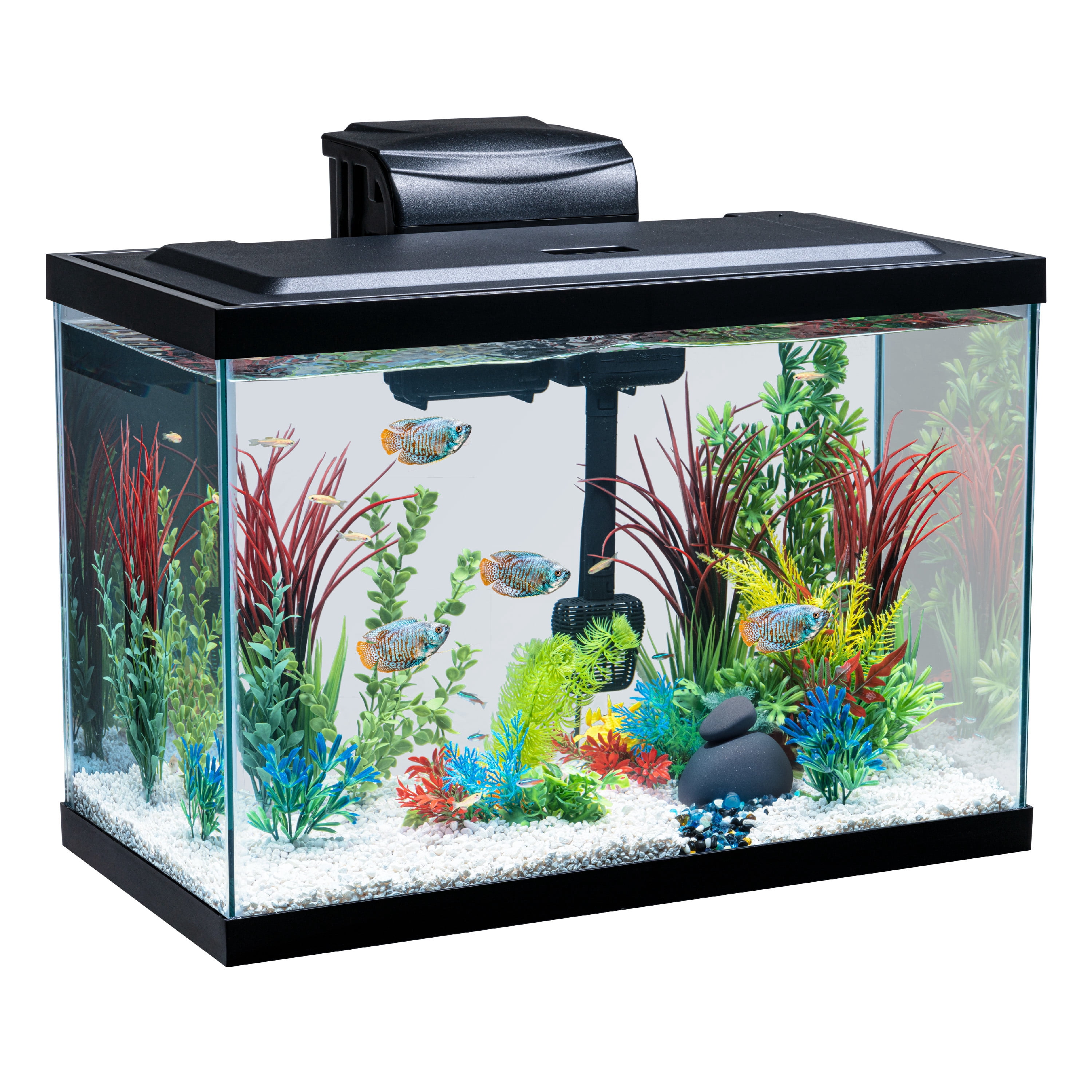 Vibrant Life 20 Gallon Aquarium Starter Kit with Blue & White LED Lights