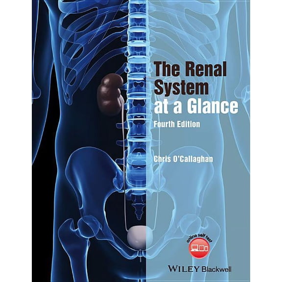 At a Glance The Renal System at a Glance, (Paperback)