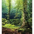thumbnail image 3 of Ambesonne Rainforest Duvet Cover Set, Wild Ivy on Trees, Queen, Green Brown, 3 of 3