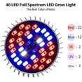 thumbnail image 2 of Bombilla LED E27 para Crecimiento de Plantas, 30W E27 con Luz para Plantas de Espectro Completo de 40LED, CA 85-265V, Luz de Crecimiento y Flores para Interiores para Jardín/Hidroponía/Acuario, Paquete de 2 [Clase de eficiencia energética A+] Sailing Electrónica, 2 of 5