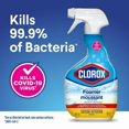 thumbnail image 2 of Clorox® Disinfecting Bleach Foamer Spray, 887 mL, Disinfecting Bleach Foamer, 2 of 5