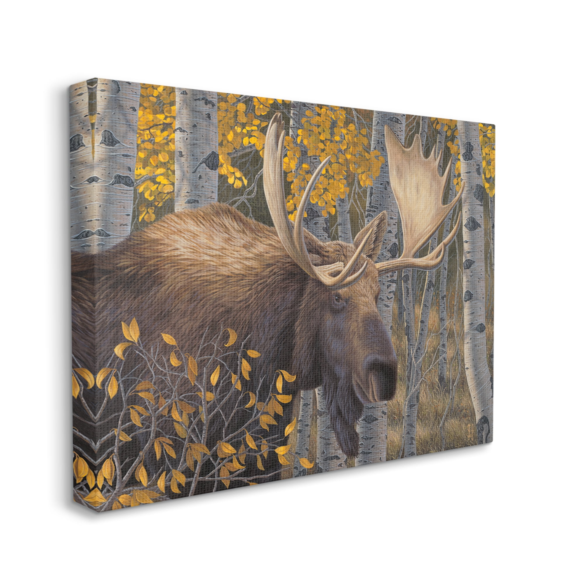 Stupell Industries Moose in Fall Foliage Animals & Insects Painting Gallery Wrapped Canvas Art Print Wall Art, 30 x 24
