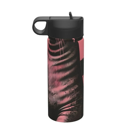 

Zeuib Graphic Seal On Stripes Print 18oz Sports Insulated Kettle Insulated Cups With Handle Sports Water Kettle Water Bottle Insulated