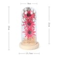 thumbnail image 2 of Girasol artificial en cúpula de cristal, regalo de girasol para mujer, decoración de girasol, regalo encantado para mujeres en Navidad, día de la madre, día de San Valentín, aniversario, cumpleaños,, 2 of 5