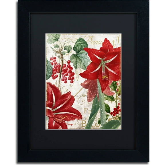 Trademark Fine Art "Amaryllis" Canvas Art by Color Bakery, Black Matte, Black Frame