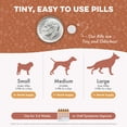 thumbnail image 5 of BestLife4Pets Worm Defense for Dogs – Natural Broad Spectrum Supplement to Help Remove Worm Infestations, 5 of 11