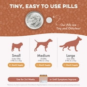 BestLife4Pets Worm Defense for Dogs – Natural Broad Spectrum Supplement to Help Remove Worm Infestations