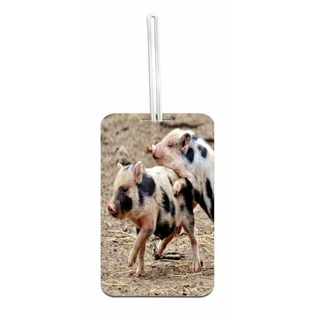 Piglet Tag - Piglets Double Sided Luggage Identifier Bag Tag