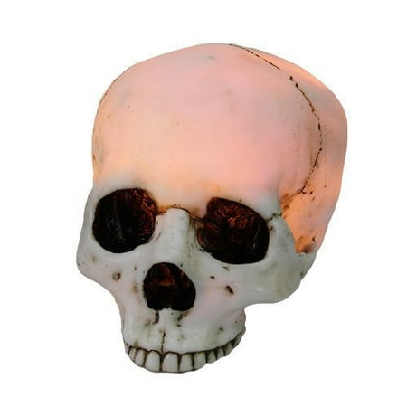 Glowing Skeleton - 7 Inch Night Glowing Skeleton Skull Resin Statue Figurine