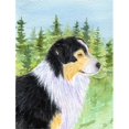 thumbnail image 1 of Australian Shepherd Flag Canvas - House Size, 1 of 1