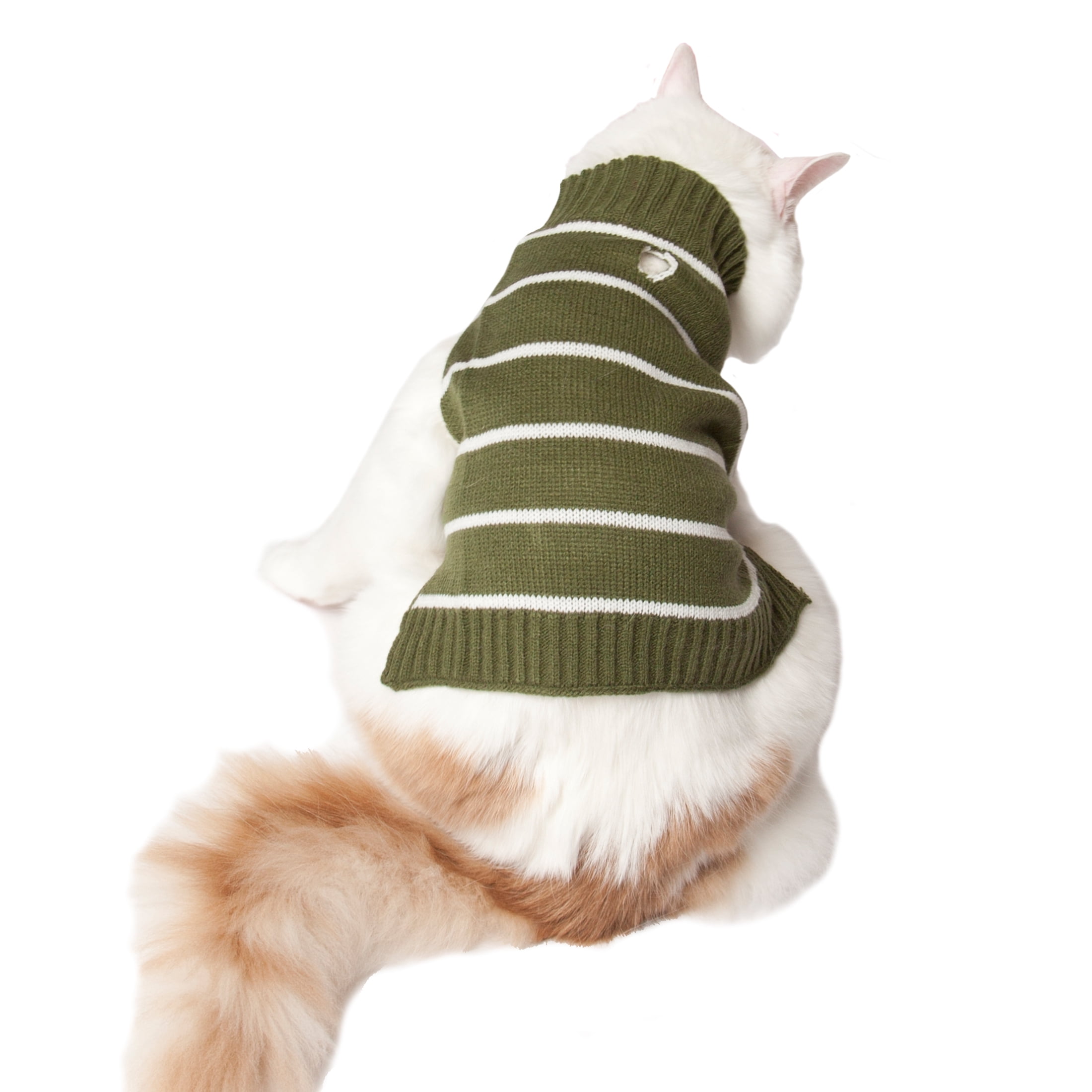 Vibrant Life Fall Forest Green Striped Dog Sweater