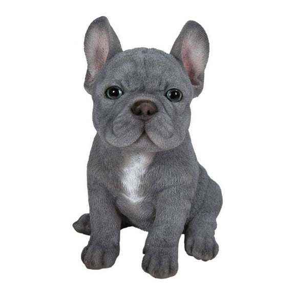 Blue French Bulldog Puppy Sitting Garden Statue