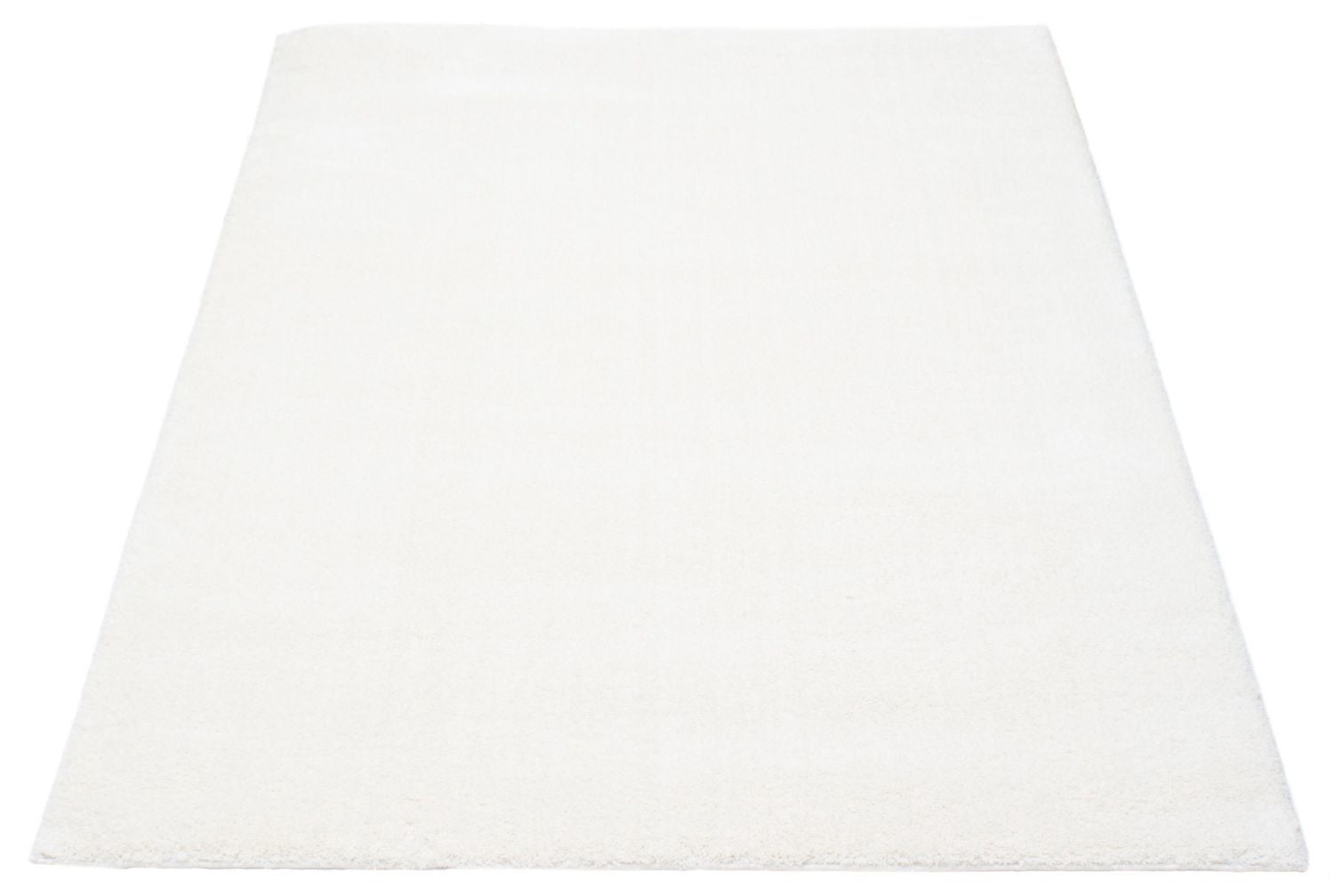ECARPET Modern Shag Area Rug, Super Soft , Fluffy Carpet for Living Room, Bedroom, Hallway, Entrance, Non Slip Cotton Backing, Blizz Collection