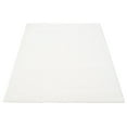 thumbnail image 4 of ECARPET Modern Shag Area Rug, Super Soft , Fluffy Carpet for Living Room, Bedroom, Hallway, Entrance, Non Slip Cotton Backing, Blizz Collection, 4 of 9