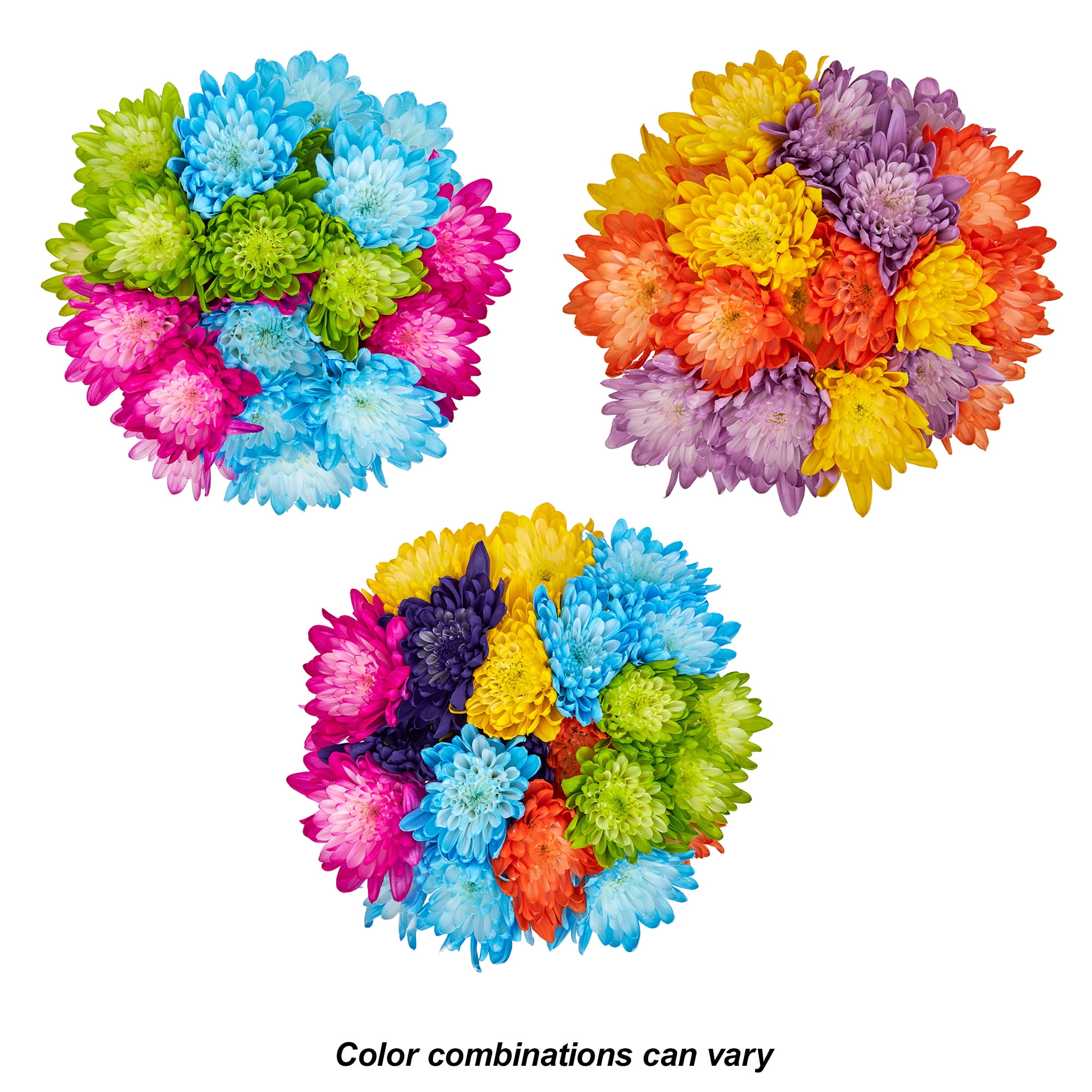 Painted Cushion Poms Flower Bunch Small, Colors May Vary