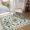Beige, variant on Lahome Decor 5'x7' Boho Bird Area Rugs,Floral Rug for Living Room Machine Washable,Soft Indoor Carpet,Non-Slip Low Pile for Bedroom Dining Room Playroom Office,Green