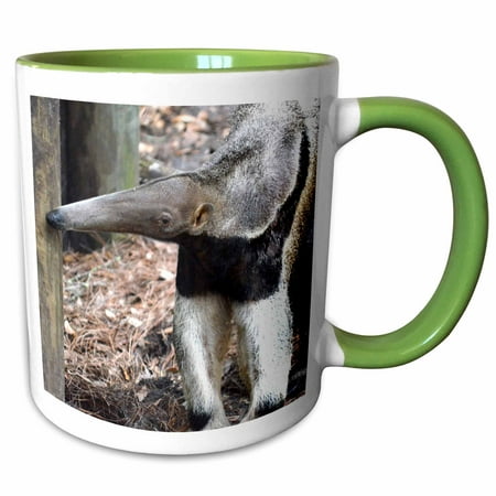 3drose Anteater Nose Raised Two Tone Green Mug 15 Ounce Walmart Com Walmart Com