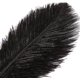 thumbnail image 3 of Nvzi Plumas de avestruz negras, 12 unidades, grandes, naturales, a granel, de 30 a 35 cm, para centros de mesa de bodas, fiestas, Pascua, Gatsby y decoración del hogar., 3 of 5