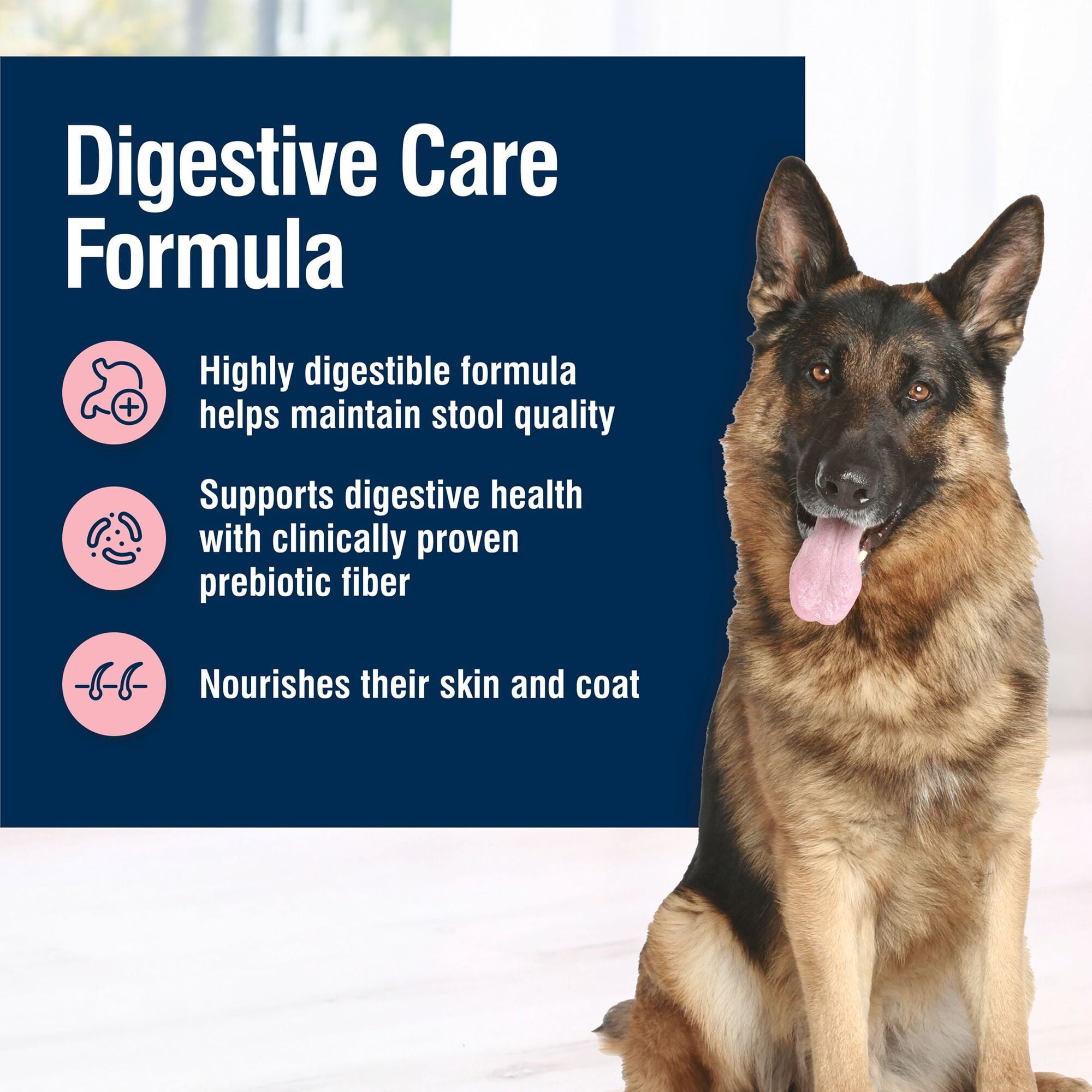Blue Buffalo True Solutions Digestive Care Natural Dry Dog Food, Chicken, 20-lb. Bag