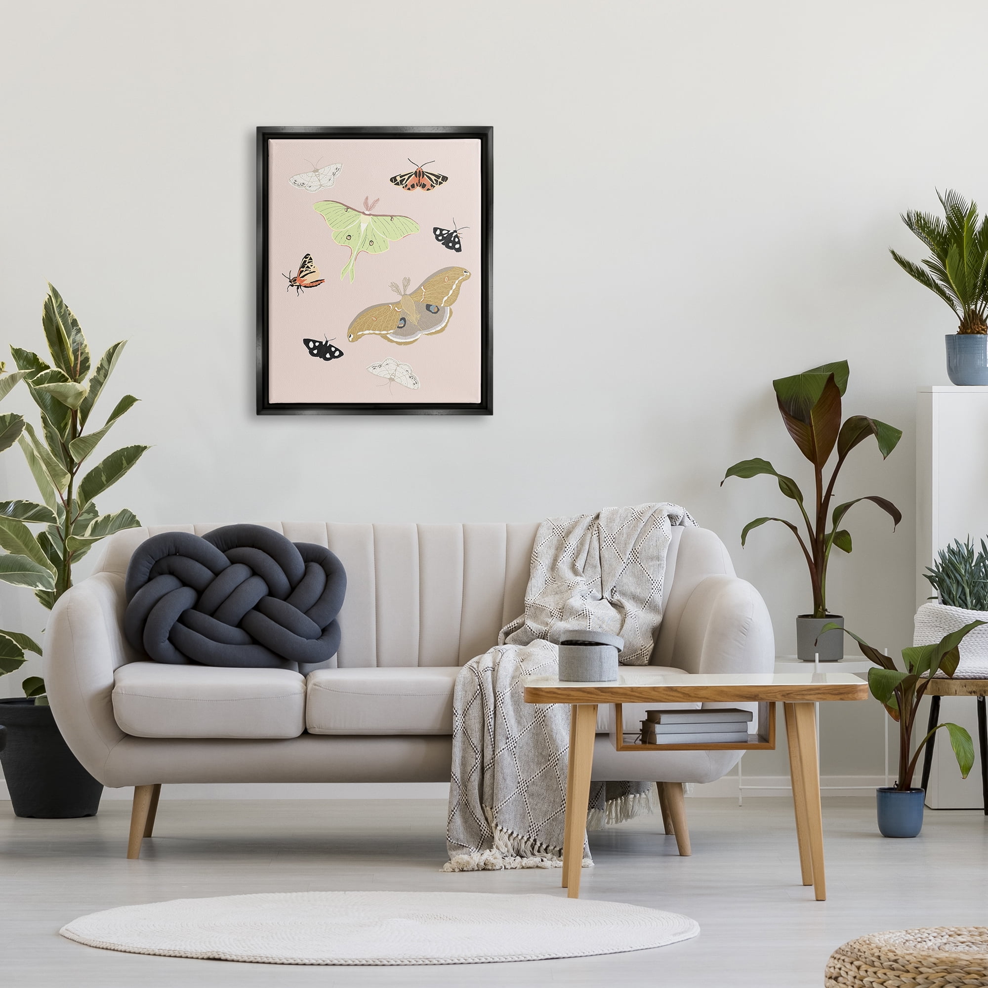 Stupell Industries Moths & Butterflies on Pink Animals & Insects Painting Black Floater Framed Art Print Wall Art, 25 x 31