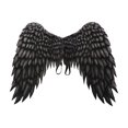 thumbnail image 1 of Guardurnaity Alas de ángel de tela no tejida Mardi Gras Halloween Cosplay Props Blanco Disfraces de disfraces Negro, 1 of 1