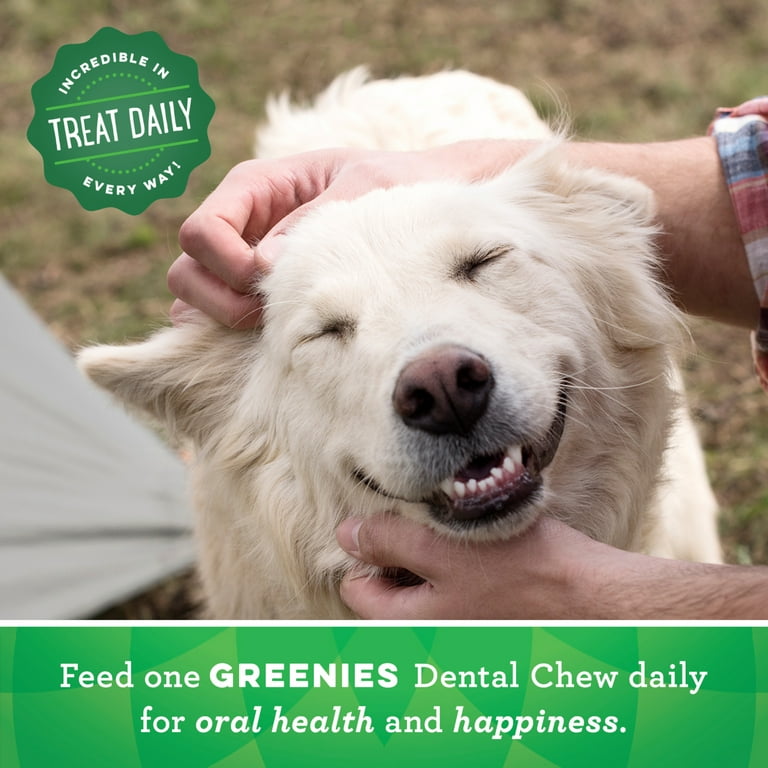 Greenies Original Petite Natural Dental Dog Treats 36 oz. Pack 60 Count