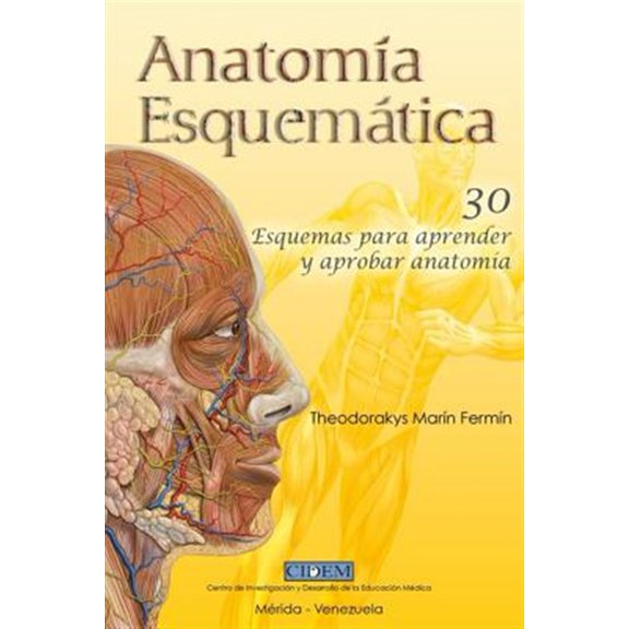 Pre-Owned Anatomia Esquematica/ anatomy schematic : 30 Esquemas Para Aprender Y Aprobar Anatom?a/ 30 Schemes to Learn and Pass Anatomy