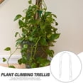 thumbnail image 3 of Phenofice Soporte Duradero Para Plantas De Interior Color Con Para Trepado, 3 of 8