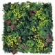 thumbnail image 1 of Muro verde / DELUXE/ Follaje Exótico 8pz 50x50 2m2/Follaje artificial PANEL DECORATIVO DELUXE FOLLAJE EXÓTICO, 1 of 6