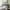 Gray, variant on Modway Emily Queen Tufted Performance Velvet Headboard in White