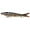 ZA-D, variant on Yatlte Lifelike Fishing Lures for Bass, Trout, Walleye, Predator Fish, Slow Sinking Lifelike Swimbait, Freshwater and Saltwater Crankbaits for Bass Trout Bass Lures