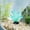 Green, variant on Bawilom Luminous Artificial Tropical Seascape Resin Ornament For Aquarium Fish Tank Aquascaping Underwater Habitat Decoration Nautical Theme Decor