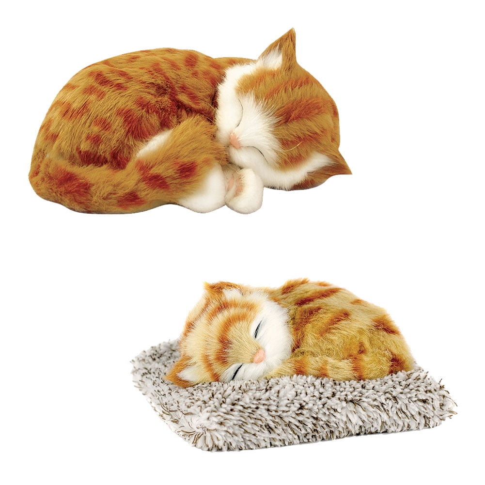 perfect petzzz orange tabby