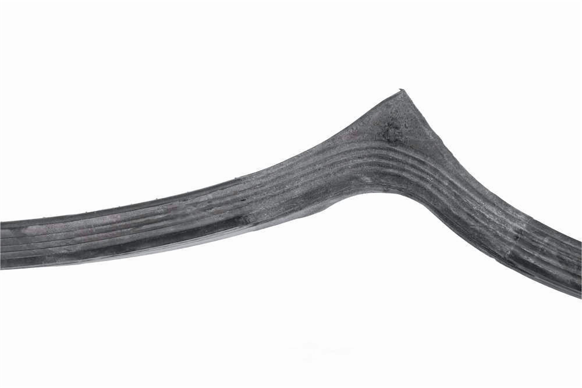 URO Parts URO-000781 Door Seal