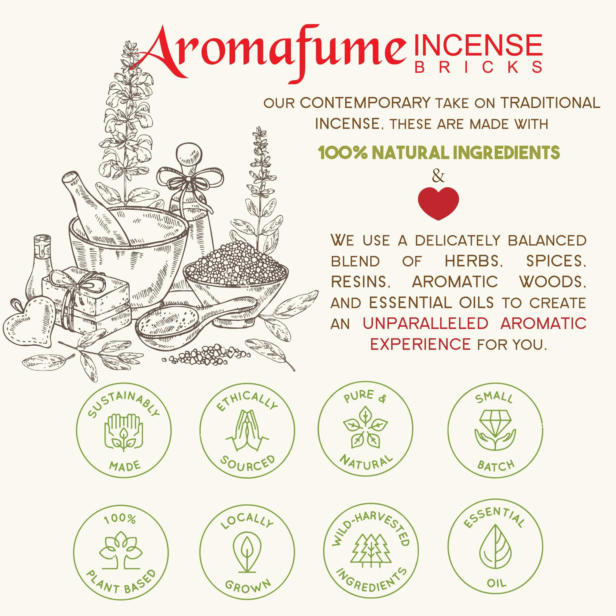 Spiritual Awareness Incense Brick Gift Set by Aromafume | 12 Bricks &  Flower of Life Exotic Burner | 3 Each - Frankincense, Copal, Benzoin & More  