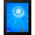 thumbnail image 2 of Grayscale 15x18 Black Modern Framed Museum Art Print Titled - Natural Reactor II, 2 of 5