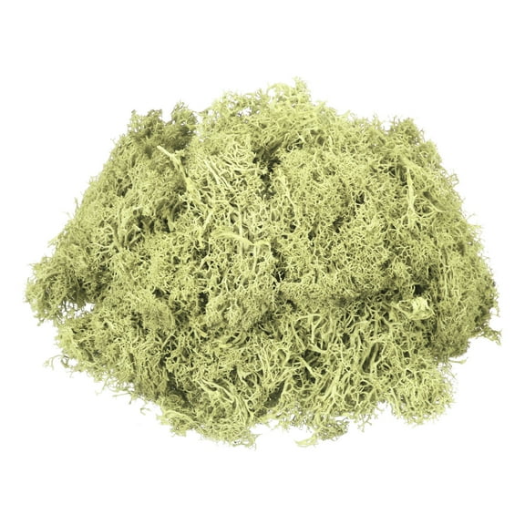 Uxcell 4.6oz Preserved Reindeer Moss Light Bright Green Decorative Artificial Moss