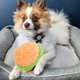 thumbnail image 4 of 2 juguetes para perros con chirridos, juguetes de peluche para perros, juguetes para cachorros, juguetes de peluche para modelar con comida deliciosa, 4 of 5