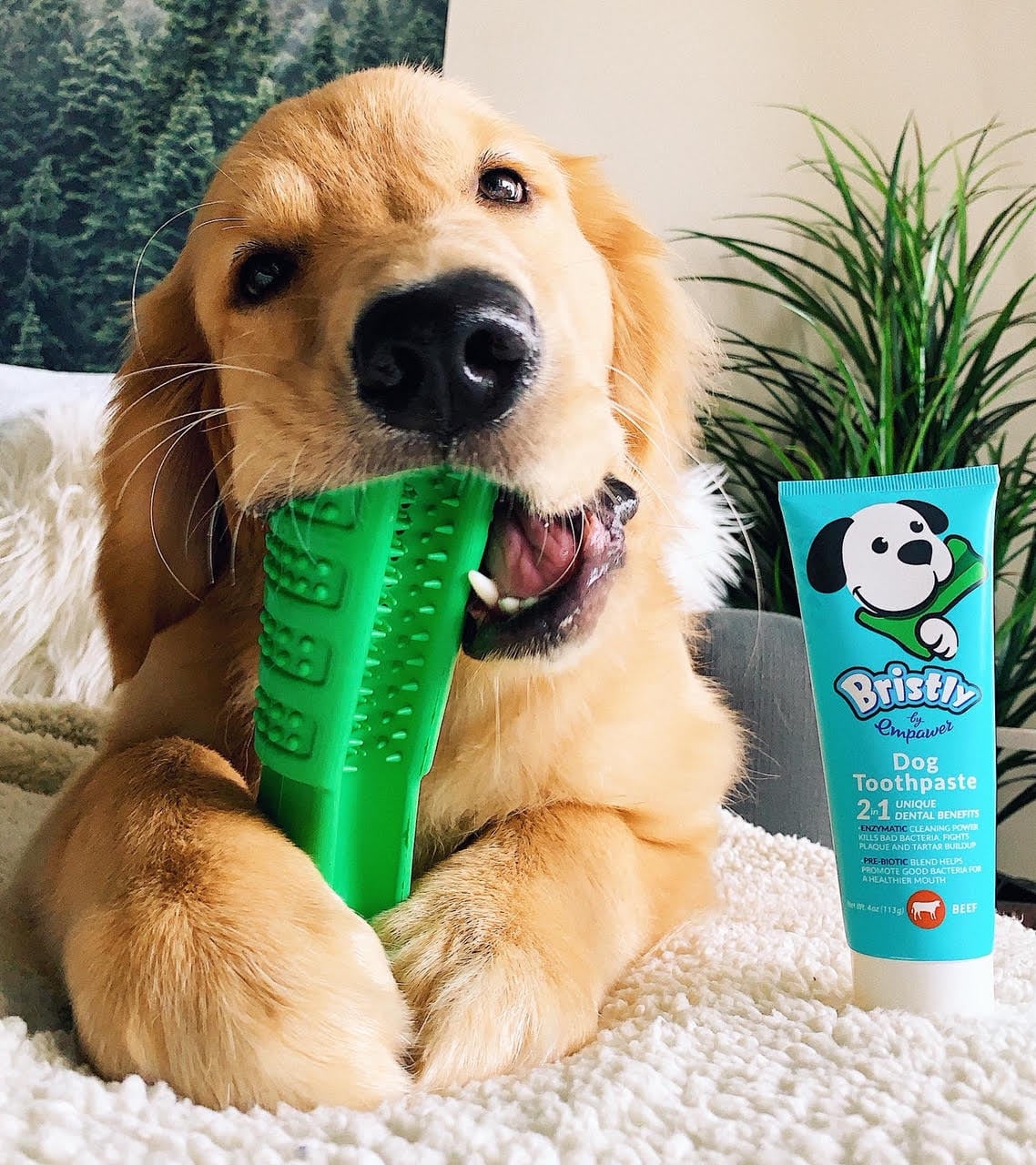 best puppy toothbrush and toothpaste