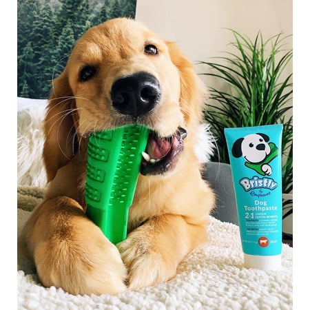 Bristly Brushing Stick Dog Toothbrush - Best Dog Chew Toy and Dental Chew (Best Pitbull Dog Toys)